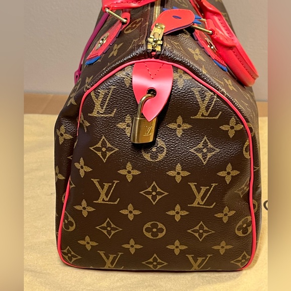 Authentic Louis Vuitton Speedy 30 MNG Totem Bag - Picture 13 of 15